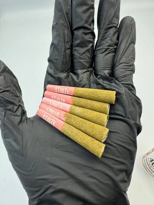 stiiizy pre rolls, stiiizy pre roll​, stiiizy 40s pre roll, stiiizy blunts, stiiizy blunt, stizzy blunt, stiizy blunts, stiiizy mini blunts, weed blunt, stiiizy pre rolls, stiiizy 40s, stiiizy 40s, infused blunt, stizzys, blunt weed, stiiizy pre roll, stiiizy 40, stiiizy blunt, mini blunts, stizzys, stiiizy 40, stiiizy pre rollstiiizy blunt,stiizy 40s,