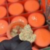 sherbinski strains, sherbinski strain, sherbinskis snack box, sherbinskis snack box strain, zucchero strain, airwhon sherbinskis, snack box sherbinski, airwhon strain, sherbinski strain, sherbinski, lemon taffy strain, sherbinskis black sesame, aranciata strain, doppio strain, snack box strain, zztop strain, sherb weed strain, sherbinskis carts, candy sherbet strain, lemon matcha strain, white cherry gushers strain, cherry sorbetto strain,