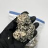 enigma mushroom, enigma shrooms, enigma mushrooms, enigma mushroom strain, enigma shroom, enigma strain, enigma cubensis, enigma psilocybe, enigma spores, enigma strain mushroom, enigma mushroom spores, enigma psilocybin, enigma mush, enigma magic mushroom, enigma magic mushrooms