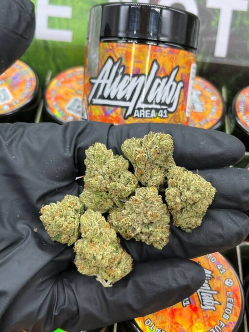 alien labs flower, alien krypto or og satell, alien flower, x j 13, alien lab strains, alien labs top secret strain, alien labs xeno, atomic apple alien labs