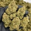 orange cookies strain, orange cookies strain, orange cookie strain, orange cookies, orange cookie dough strain, orange cookies strain, orange cookie strain, orange cookies weed strain, orange cookie kush strain