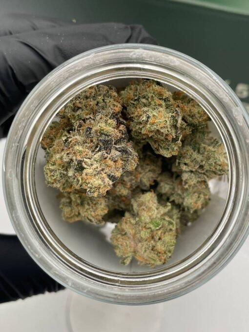 blue crush strain, cbx cereal milk, sublime lime cbx, cbx sublime lime strain, tropicnna strain cbx, cvbx tropicana, cbx sublime lime sticker, tropical lemonade strain, casino kush strain, cbx flower, highuasca strain, cbx - cereal milk, blue flame og, cannabiotix cereal milk, sublime lime strain, glue flame strain, cannabiotix grand master, white walker strain, cereal milk cbx