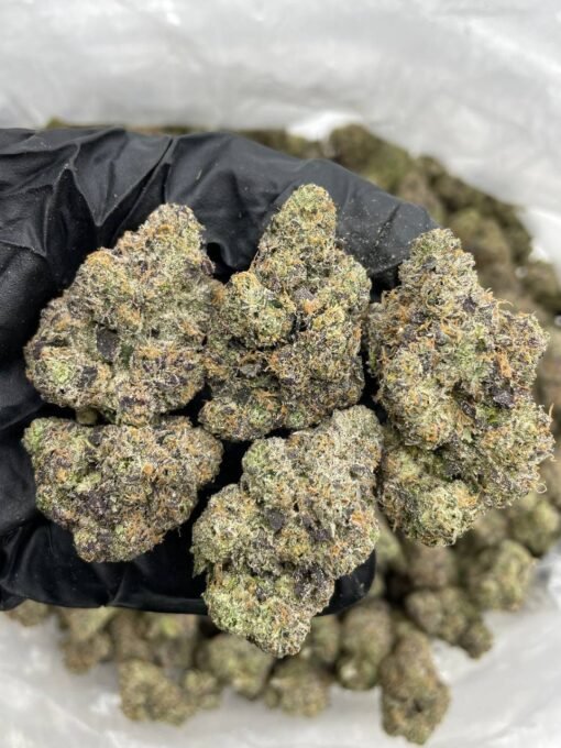 crypto funk strain, crypto funk strain review, crypto funk, crypto strain, crypto funk strain backpackboyz, crypto funk strain review, crypto funk backpack boyz strain, crypto weed strain, crypto funk strain leafly